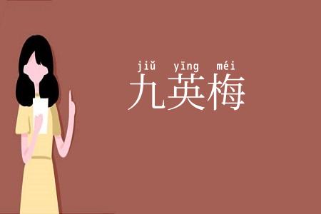九英梅