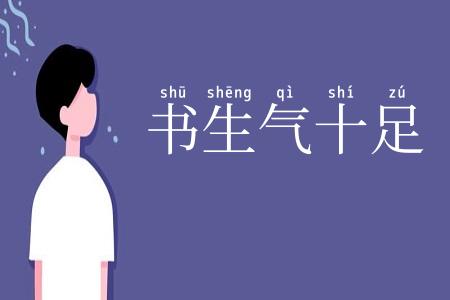 书生气十足