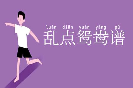 乱点鸳鸯谱