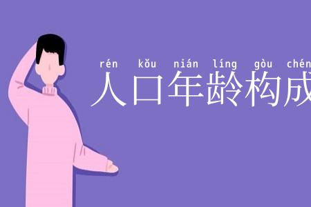 人口年龄构成