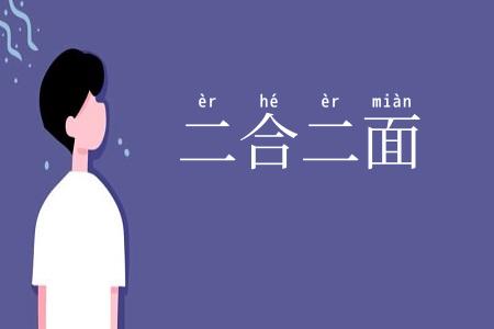 二合二面