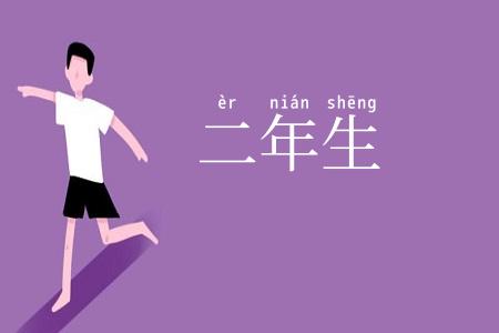 二年生