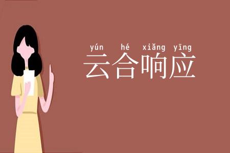 云合响应