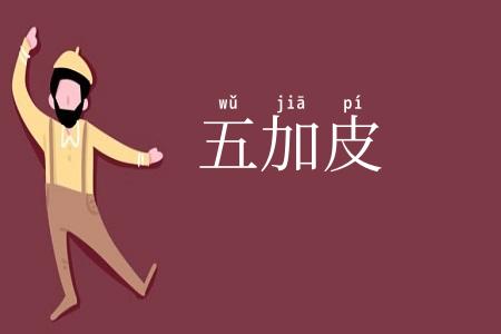 五加皮