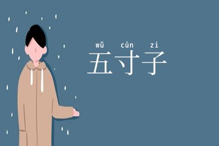 五寸子