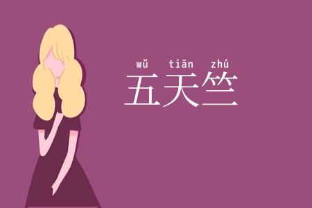 五天竺
