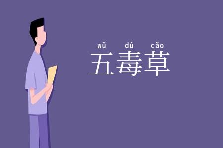 五毒草