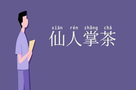仙人掌茶