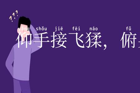 仰手接飞猱，俯身散马蹄