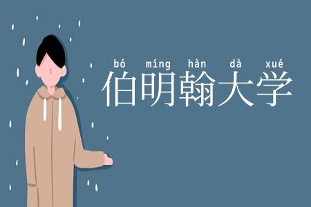 伯明翰大学