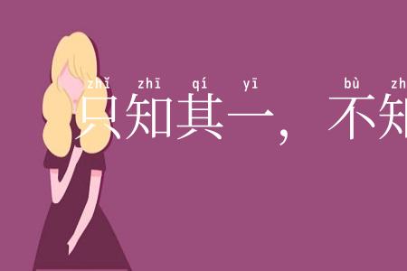 只知其一，不知其二