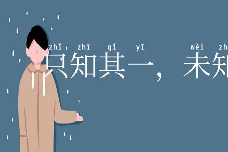 只知其一，未知其二
