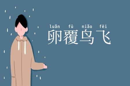 卵覆鸟飞