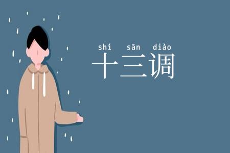 十三调