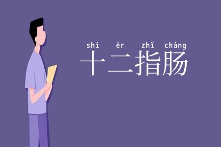 十二指肠