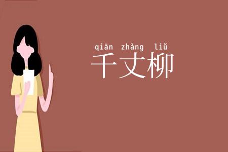 千丈柳