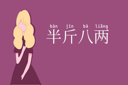 半斤八两