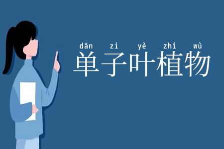 单子叶植物
