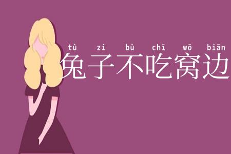 兔子不吃窝边草