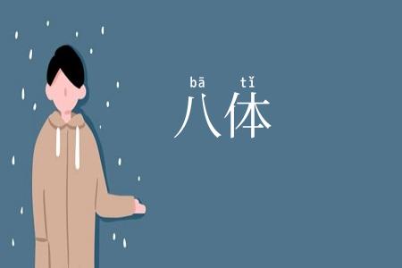 八体