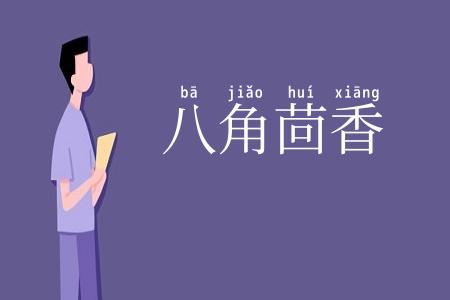 八角茴香
