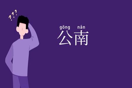 公南