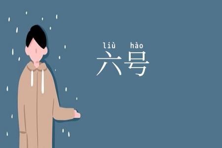 六号
