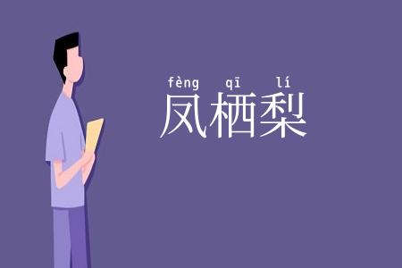 凤栖梨