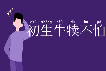 初生牛犊不怕虎