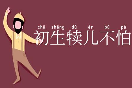 初生犊儿不怕虎