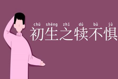 初生之犊不惧虎