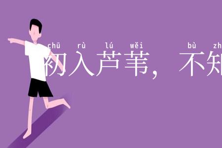 初入芦苇，不知深浅
