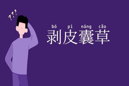 剥皮囊草