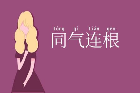 同气连根