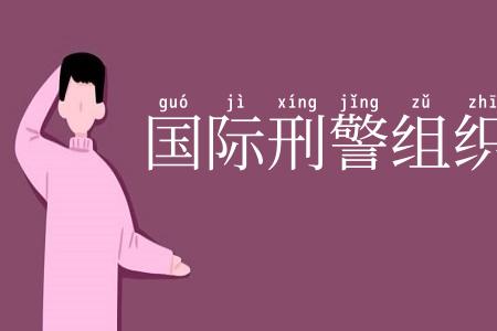 国际刑警组织