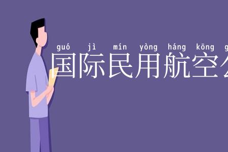 国际民用航空公约
