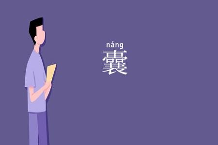 囊