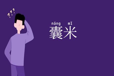 囊米