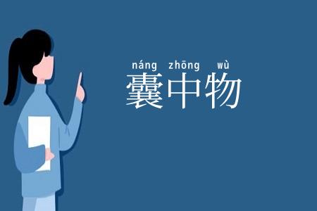 囊中物