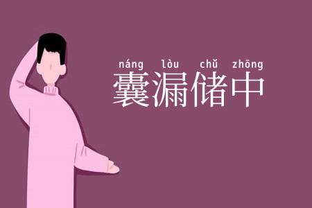 囊漏储中