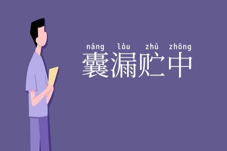 囊漏贮中