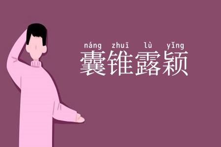 囊锥露颖