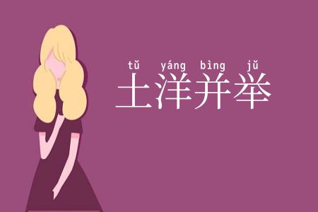 土洋并举