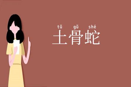 土骨蛇