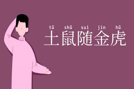 土鼠随金虎