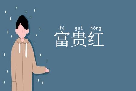 富贵红
