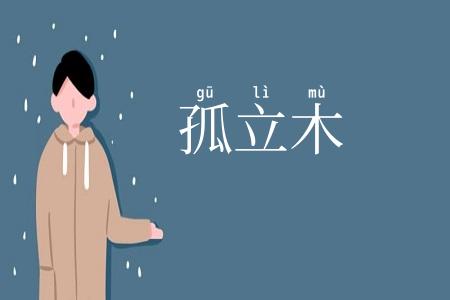 孤立木