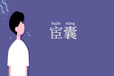 宦囊