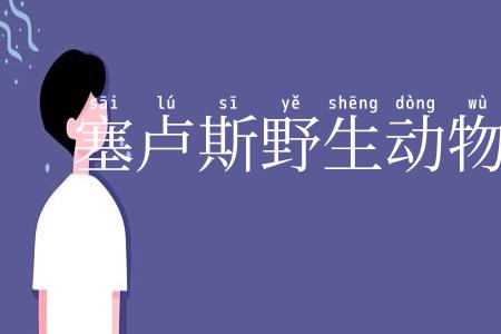 塞卢斯野生动物保护区