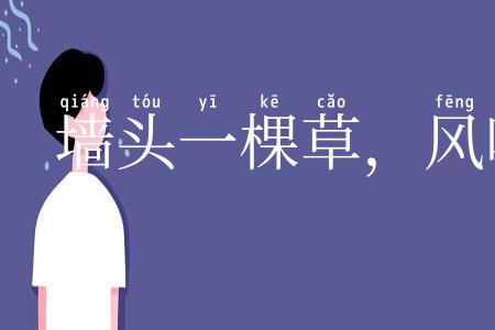 墙头一棵草，风吹两边倒